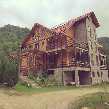 Cabana Soarelui Retezat Nucsoara (Hunedoara) Exterior foto