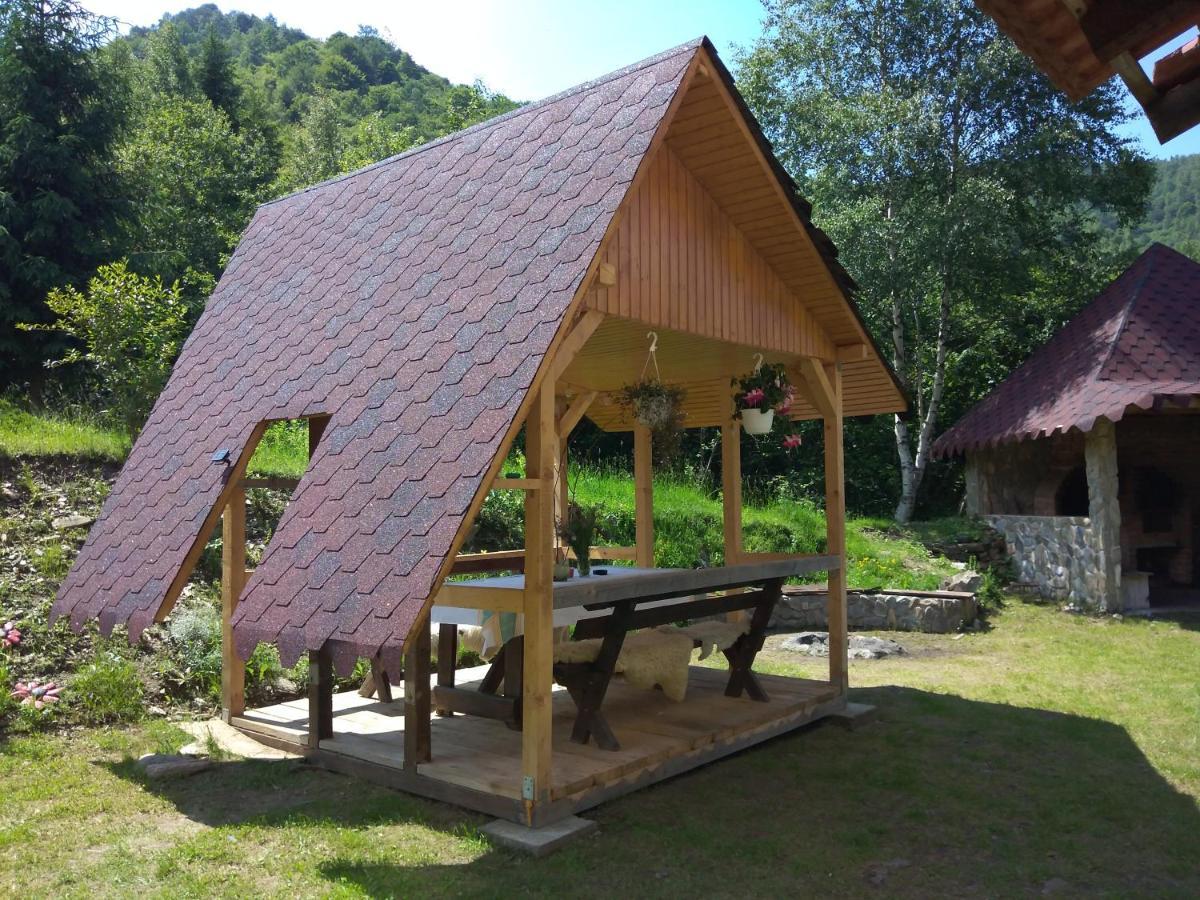Cabana Soarelui Retezat Nucsoara (Hunedoara) Exterior foto