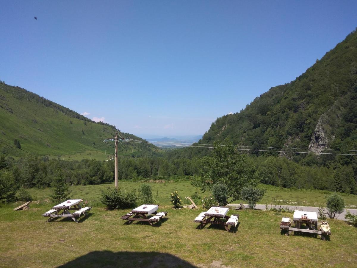 Cabana Soarelui Retezat Nucsoara (Hunedoara) Exterior foto