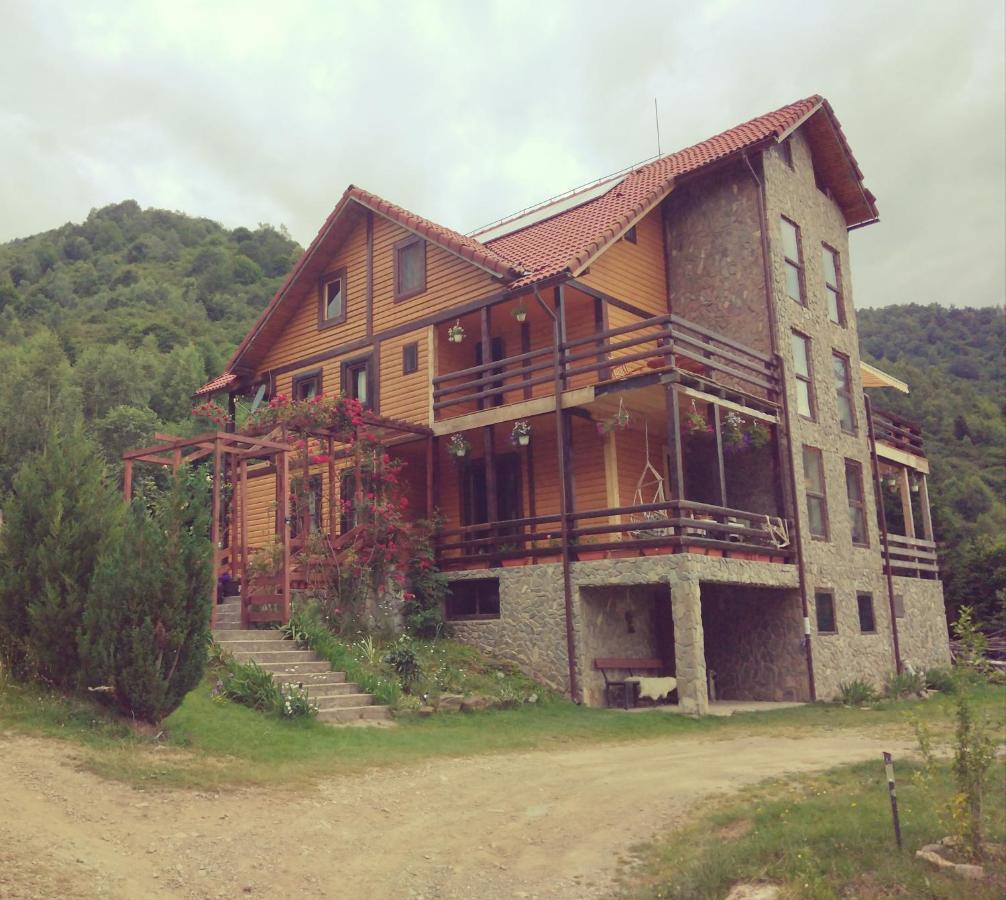 Cabana Soarelui Retezat Nucsoara (Hunedoara) Exterior foto