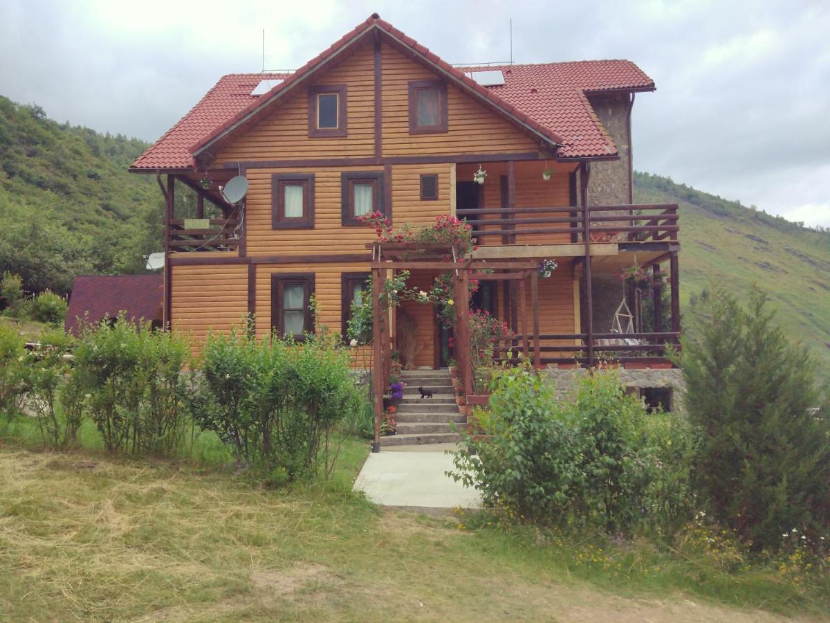 Cabana Soarelui Retezat Nucsoara (Hunedoara) Exterior foto